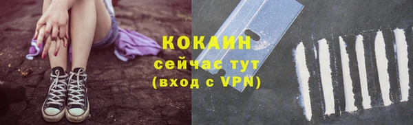 спиды Ладушкин