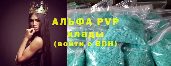спиды Ладушкин