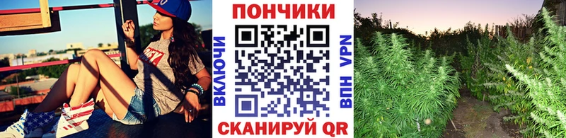 Бошки марихуана THC 21% Кремёнки